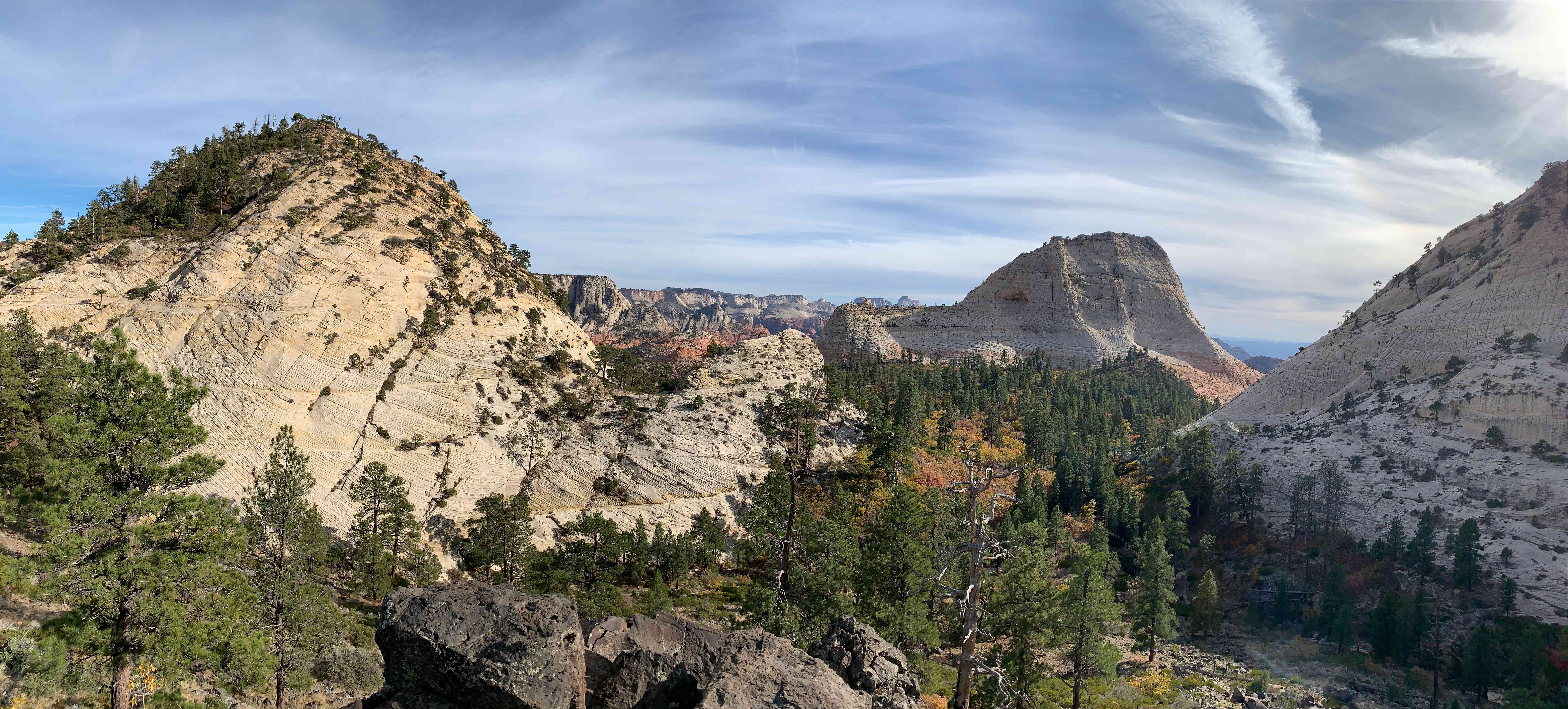 Zion NP